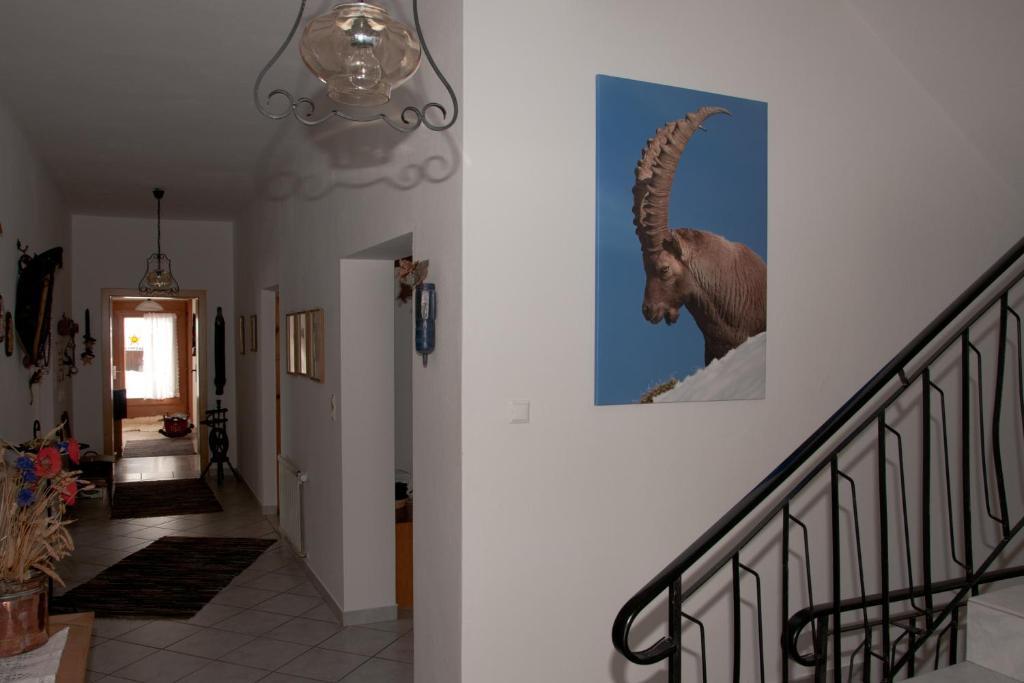 Appartements Schmalzerhof Gries im Sellrain Luaran gambar